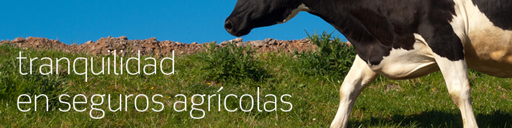 Seguros Agrcolas